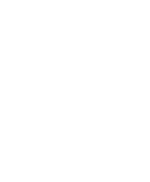 Petit Futé
